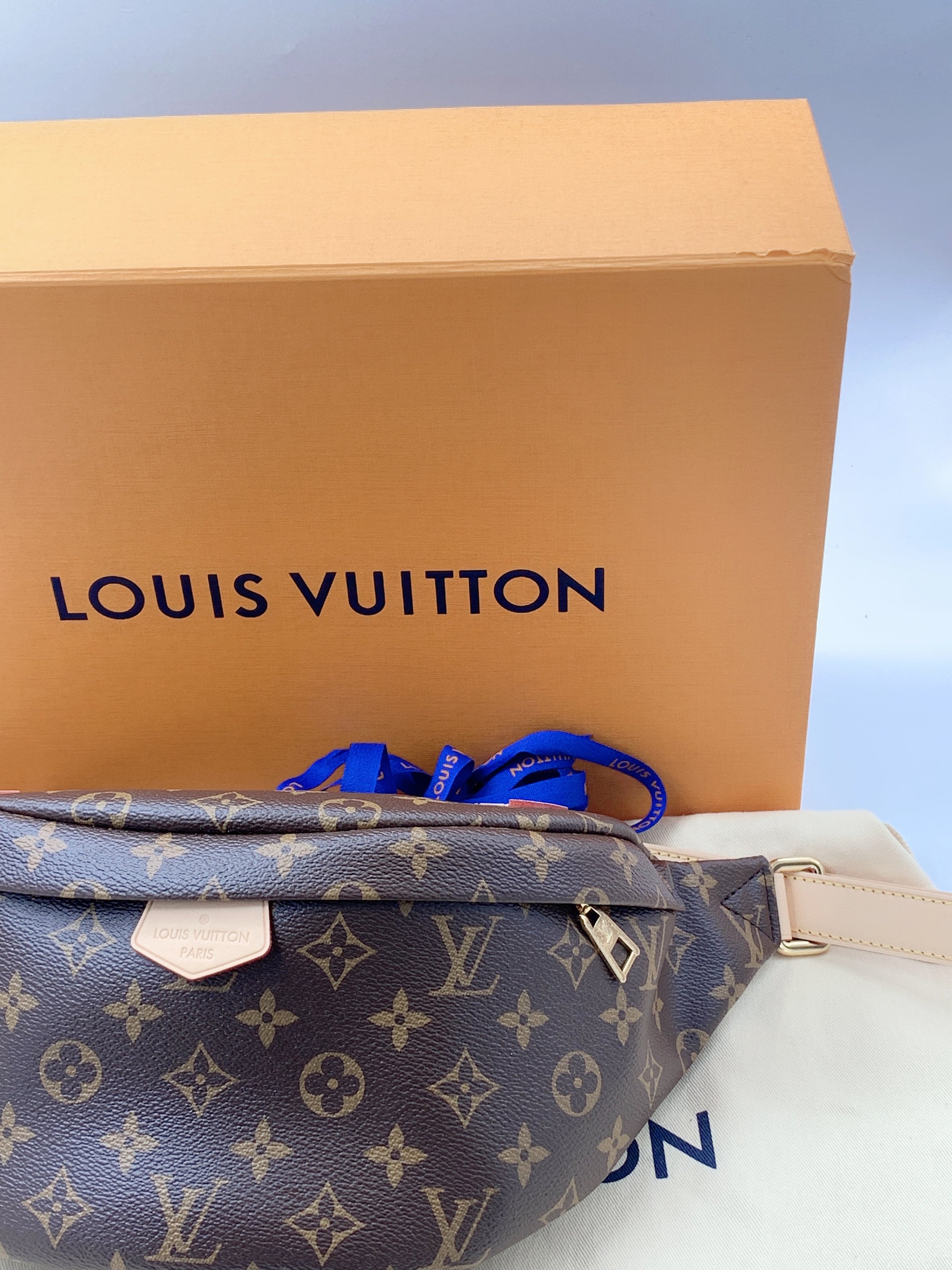 USED LOUIS VUITTON Monogram Bumbag MICROCHIPPED - MyDesignerly