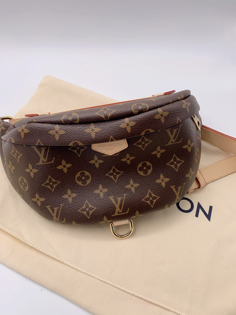 Louis Vuitton MONOGRAM 2021-22FW Bumbag (M43644)