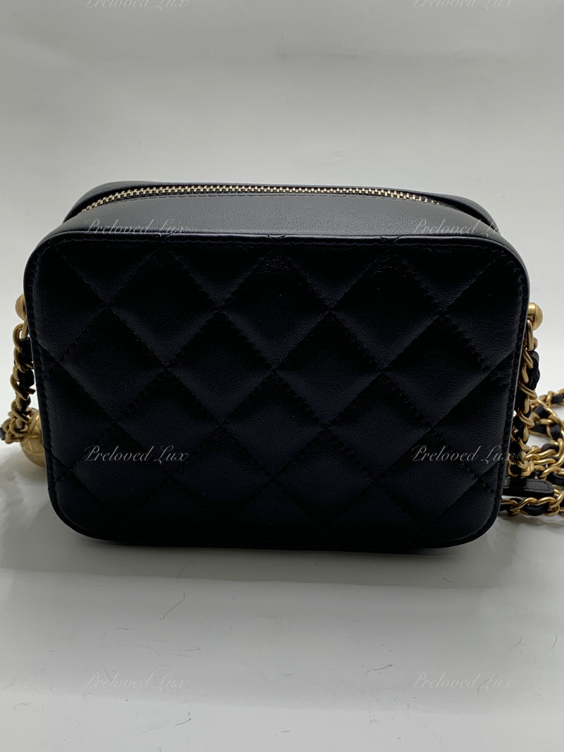 Chanel Pearl Crush Camera Case Quilted Lambskin Small at 1stDibs